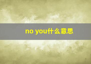 no you什么意思